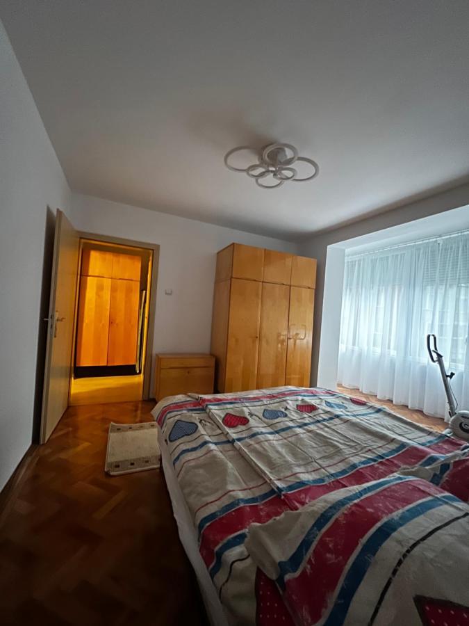 Noreea Central Apartment Timisoara Bagian luar foto