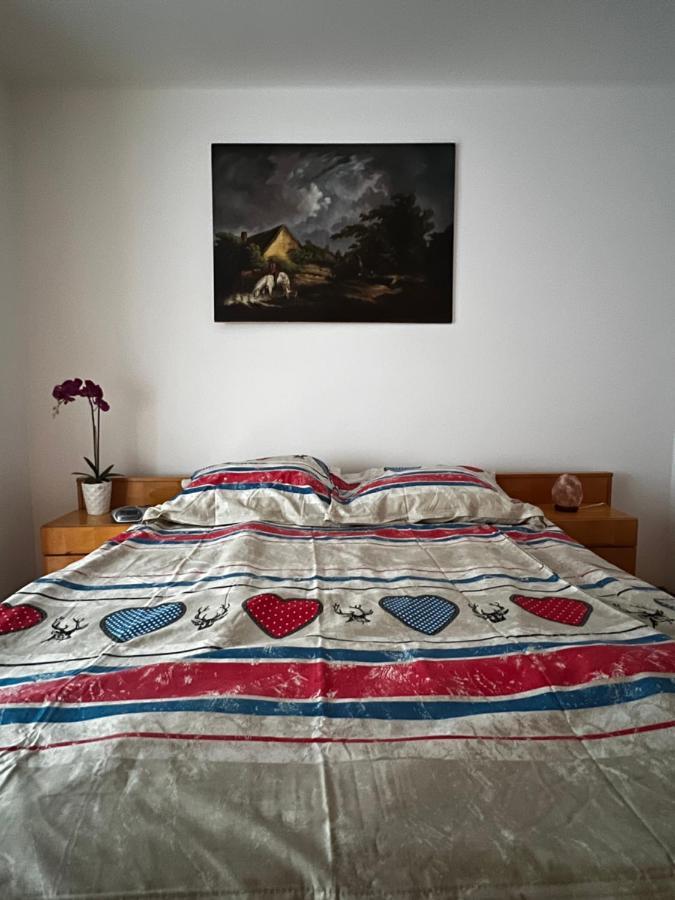 Noreea Central Apartment Timisoara Bagian luar foto
