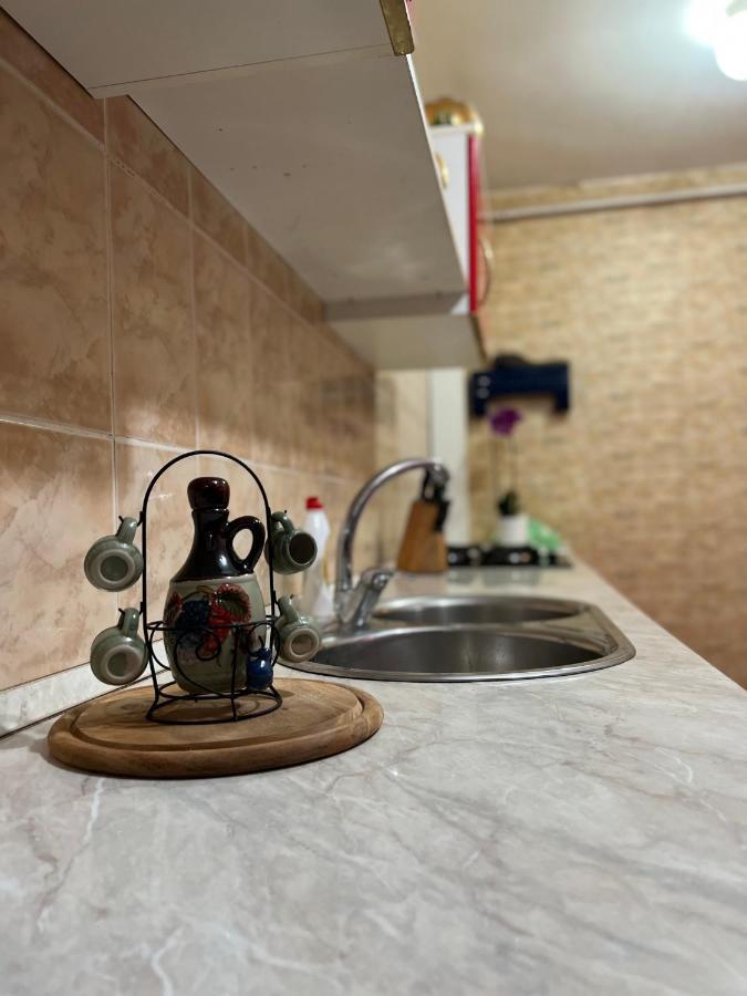 Noreea Central Apartment Timisoara Bagian luar foto